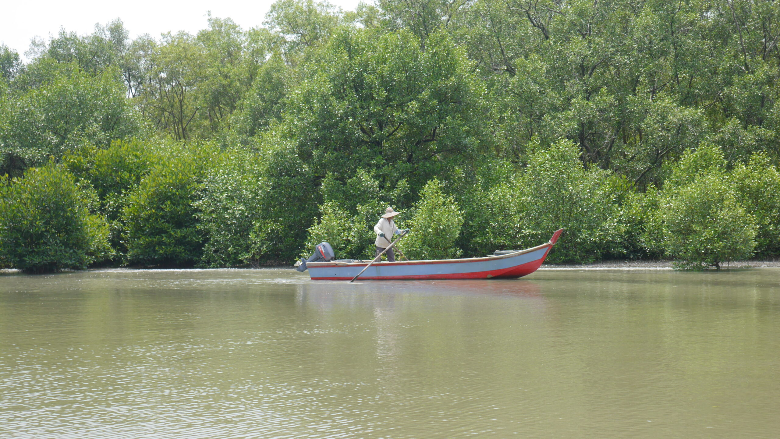 Community-based Mangrove Conservation and Sustainable Livelihood Programme in Kuala Gula – Kerian and Sitiawan – Manjung, Perak