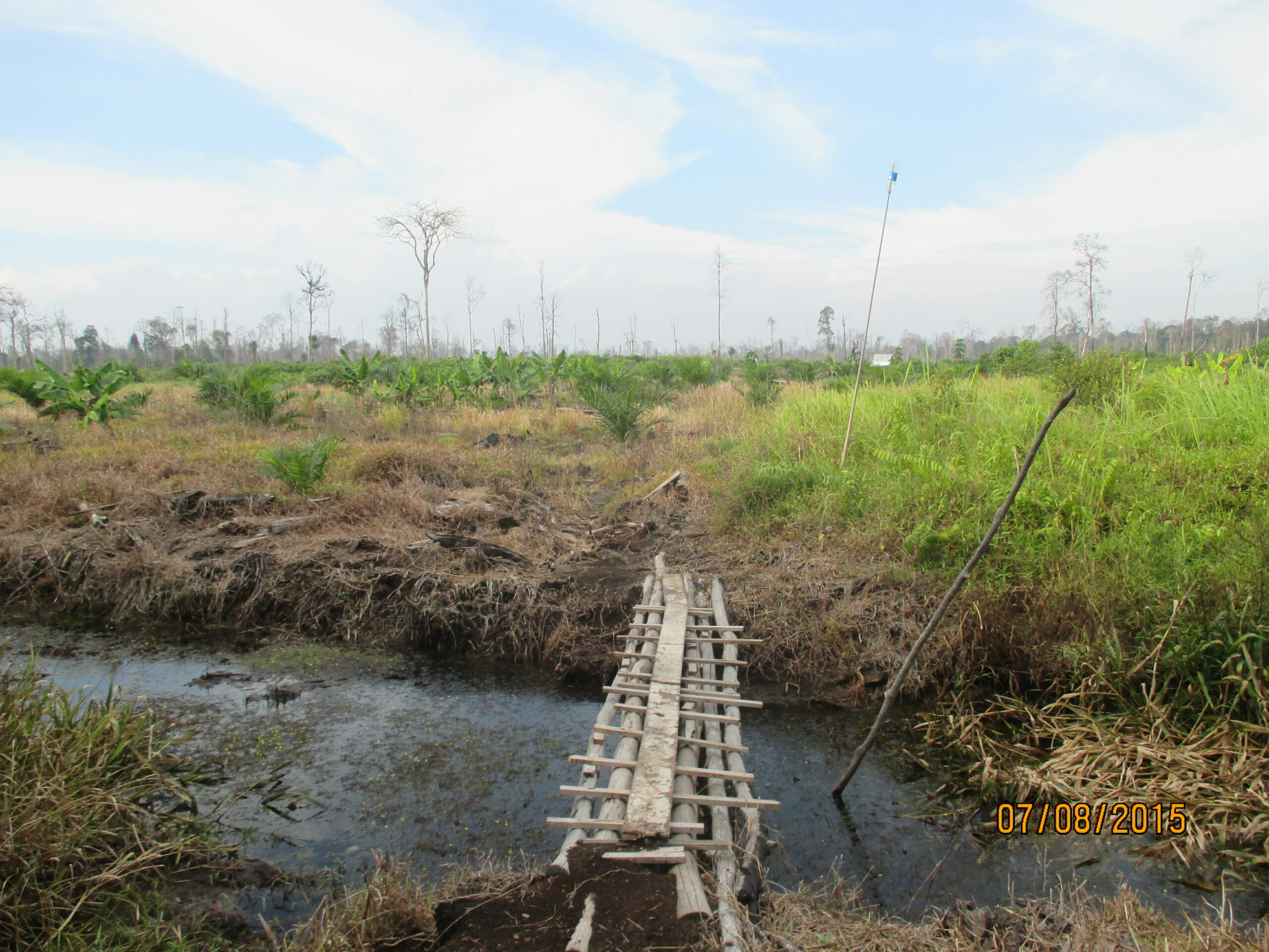 Indigenous Community Participation in Peatland Water Management and Forest Rehabilitation Work in Kuala Langat North Forest Reserve (KLNFR)