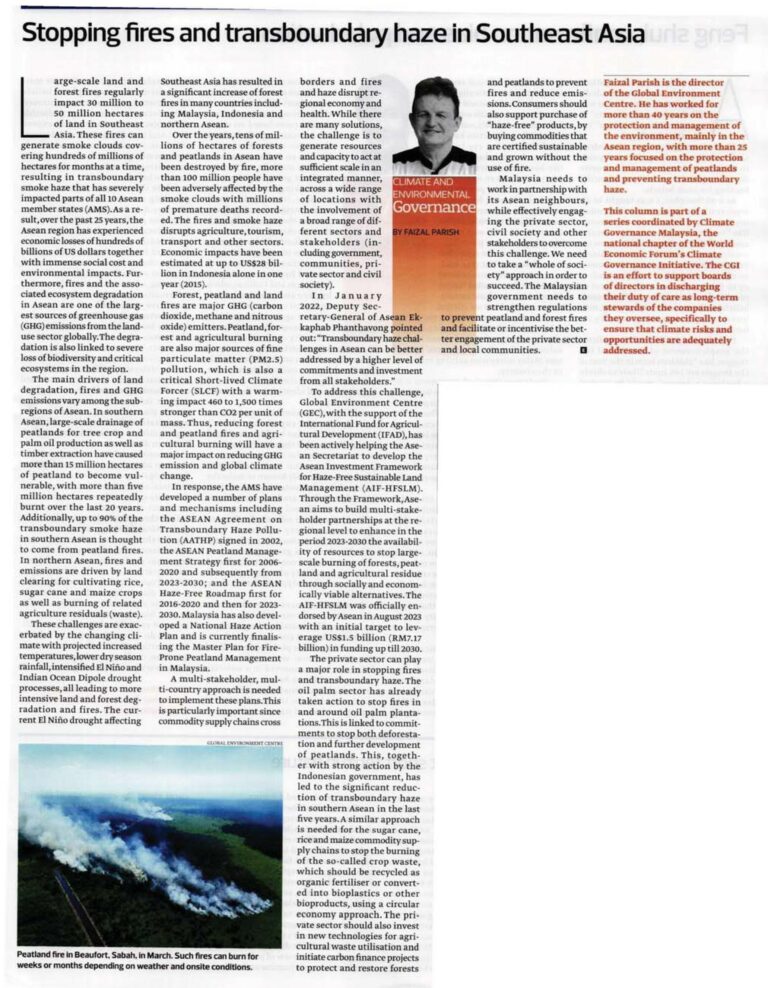 Stopping fires and transboundary haze in Southeast Asia