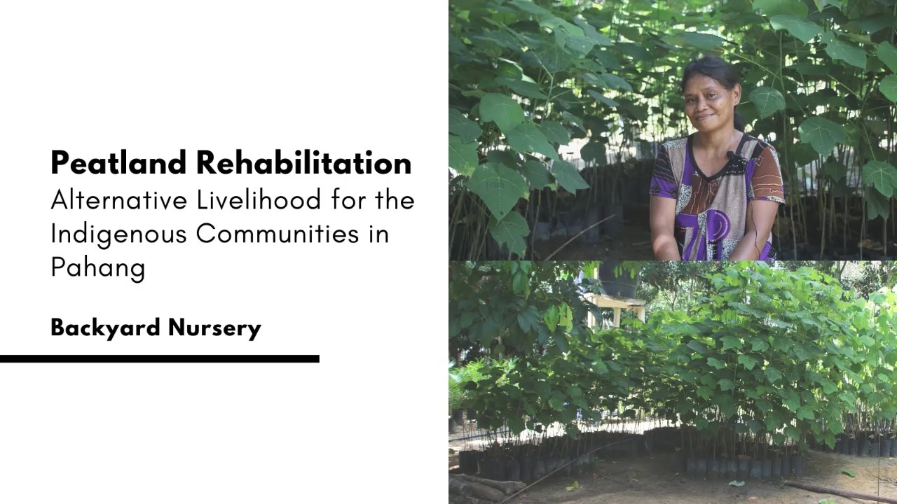Alternative Livelihood through Backyard Nursery