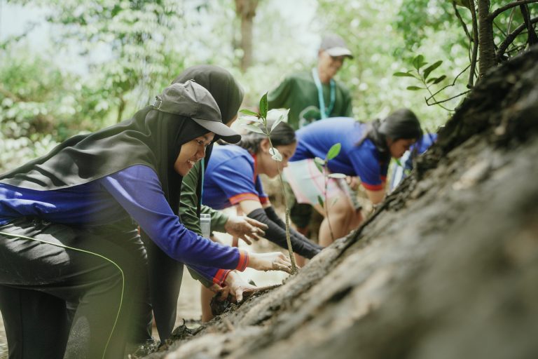 Regional Mangrove Conservation Program Expands to Thailand Through Multi-Stakeholder Partnership
